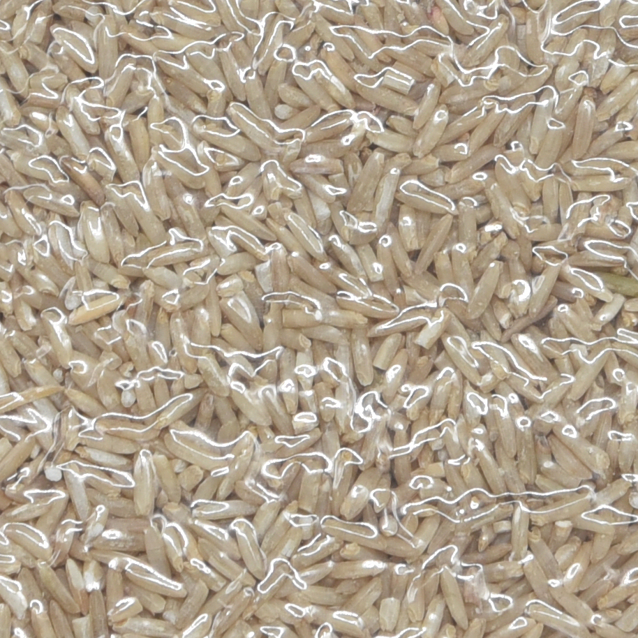 認識發芽糙米